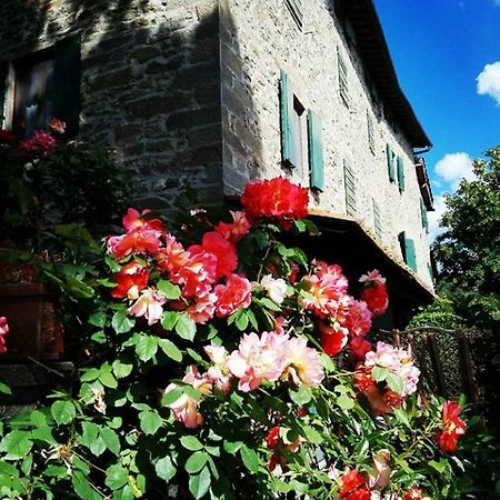 Podere I Rovai-Apt Il Rifugio- In The Heart Of Tuscany Reggello Exteriér fotografie