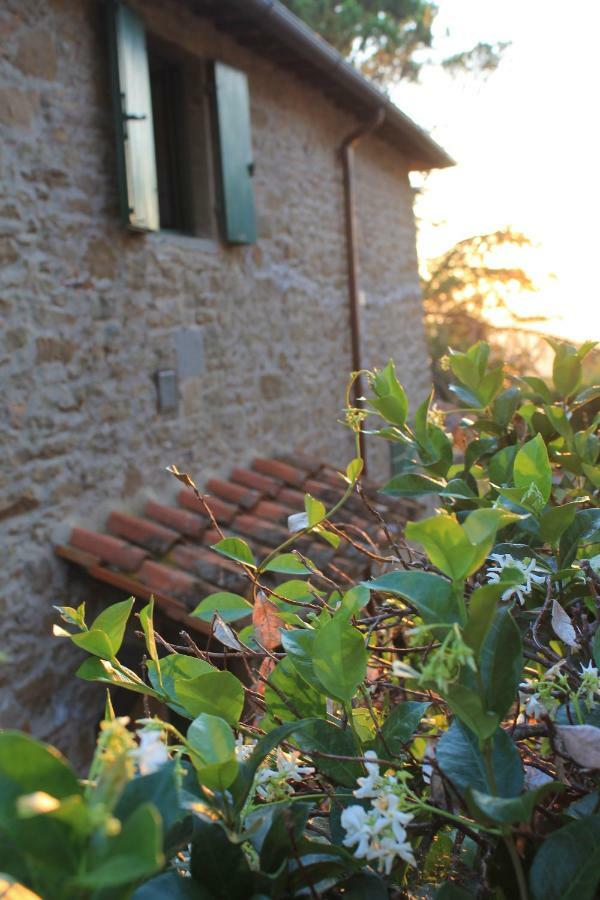 Podere I Rovai-Apt Il Rifugio- In The Heart Of Tuscany Reggello Exteriér fotografie