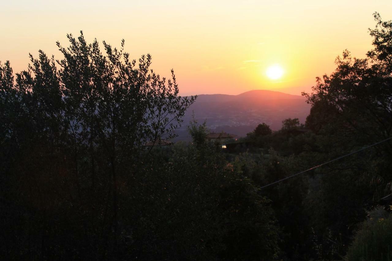 Podere I Rovai-Apt Il Rifugio- In The Heart Of Tuscany Reggello Exteriér fotografie