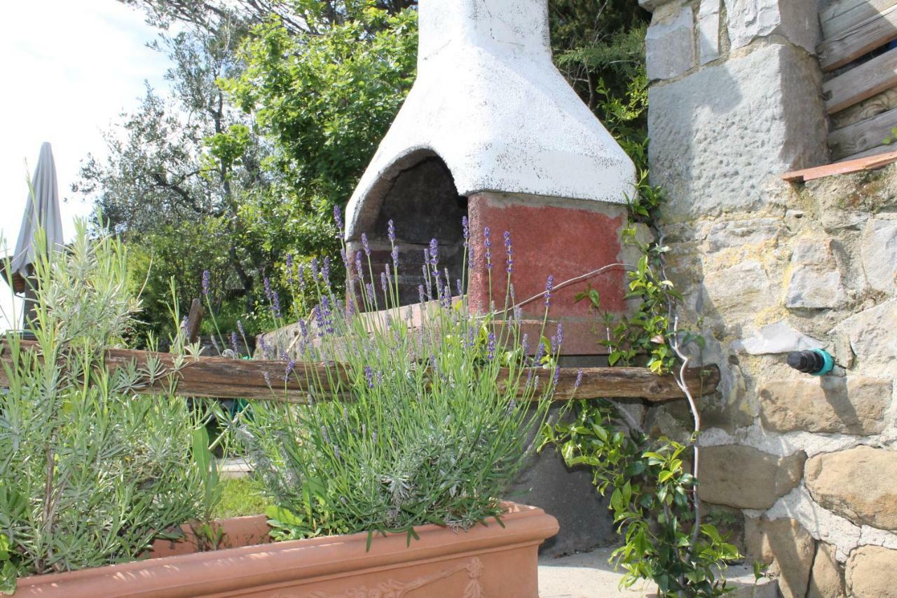 Podere I Rovai-Apt Il Rifugio- In The Heart Of Tuscany Reggello Exteriér fotografie